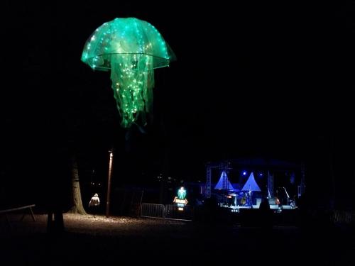 Blue Ox Backwoods Stage in 2024