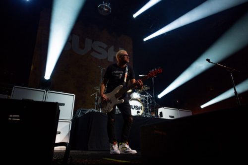 Bush; photo by Sara Halbach 