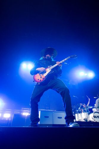 Bush; photo by Sara Halbach 