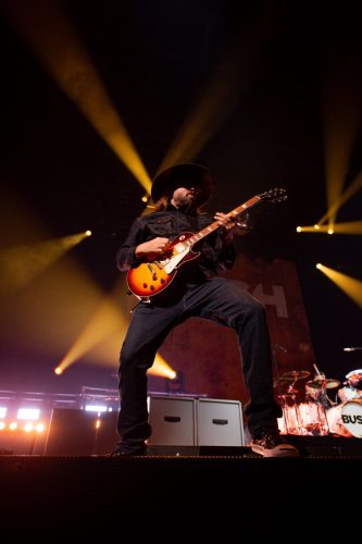 Bush; photo by Sara Halbach 