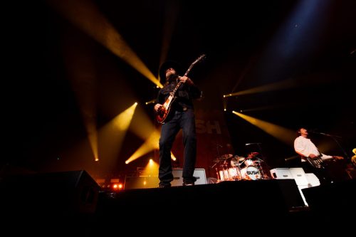 Bush; photo by Sara Halbach 