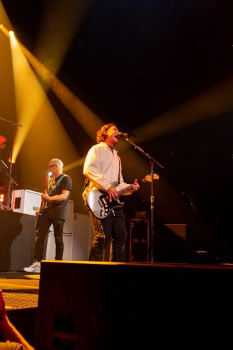 Bush; photo by Sara Halbach 