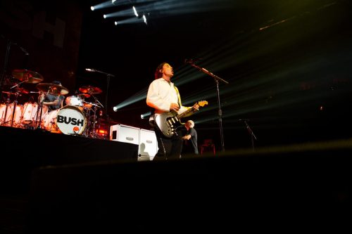 Bush; photo by Sara Halbach 