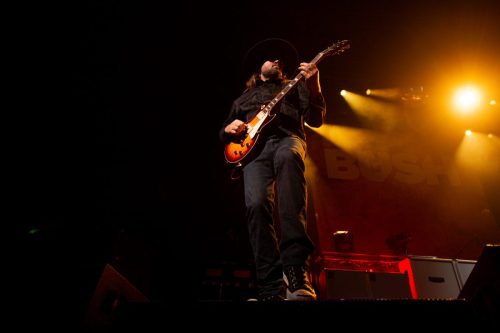 Bush; photo by Sara Halbach 