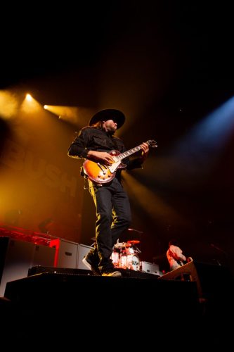 Bush; photo by Sara Halbach 