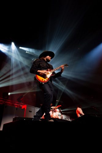 Bush; photo by Sara Halbach 