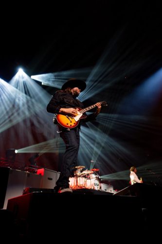 Bush; photo by Sara Halbach 