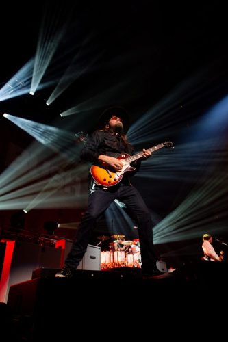 Bush; photo by Sara Halbach 