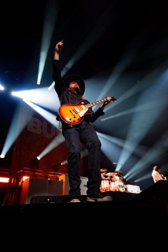 Bush; photo by Sara Halbach 