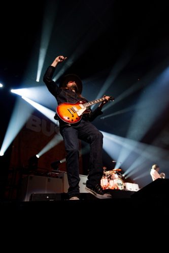 Bush; photo by Sara Halbach 