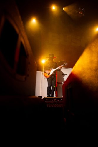 Bush; photo by Sara Halbach 