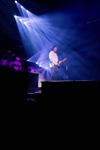 Bush; photo by Sara Halbach 