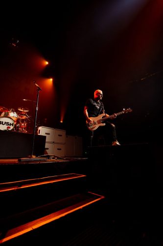 Bush; photo by Sara Halbach 