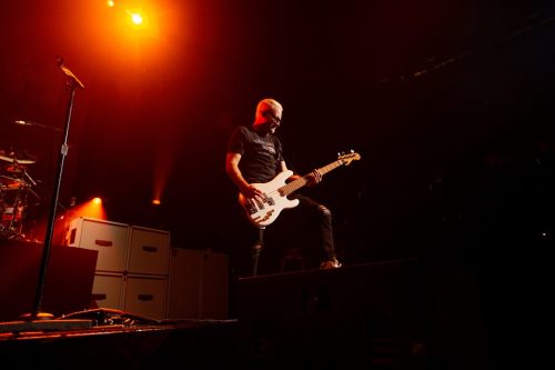 Bush; photo by Sara Halbach 