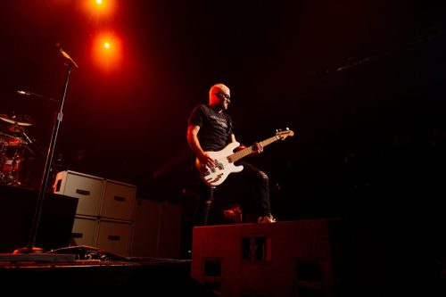 Bush; photo by Sara Halbach 