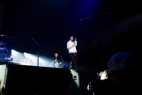 Bush; photo by Sara Halbach 