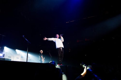 Bush; photo by Sara Halbach 