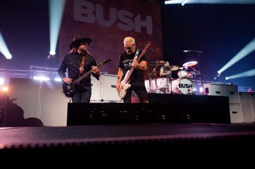 Bush; photo by Sara Halbach 
