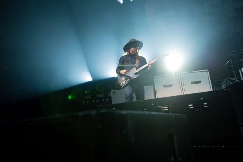 Bush; photo by Sara Halbach 